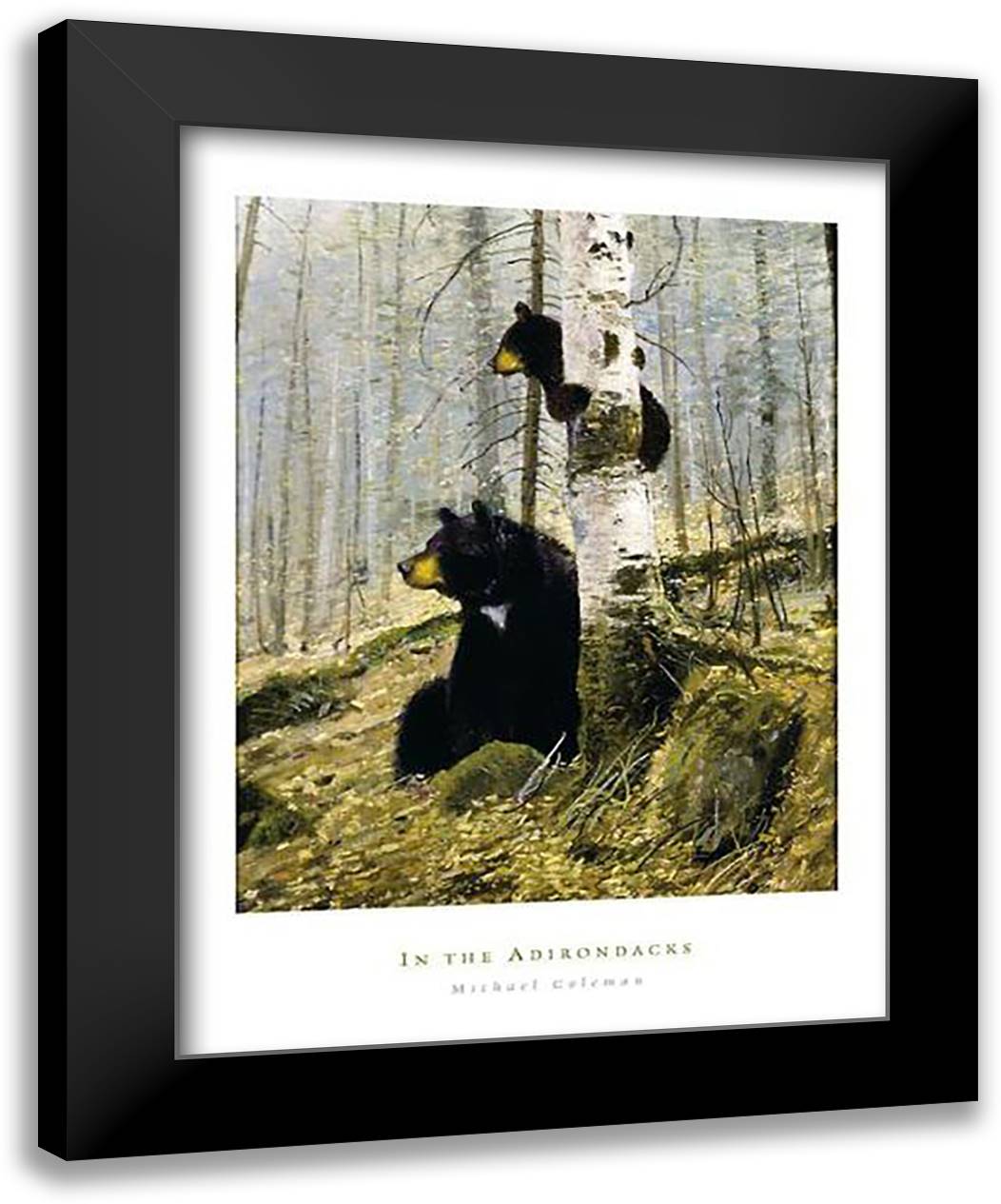 In The Adirondacks 23x30 Black Modern Wood Framed Art Print Poster by Coleman, Michael