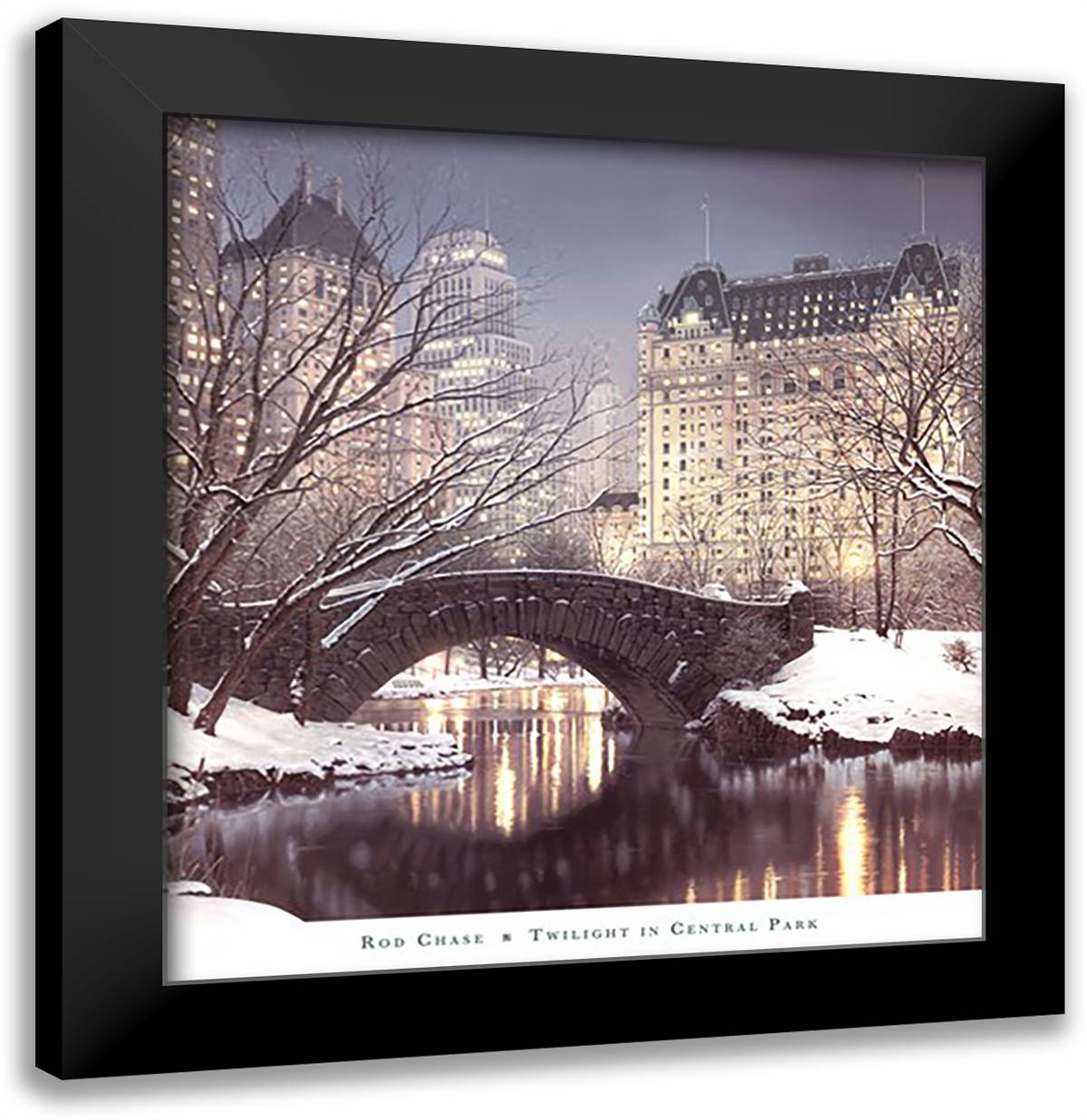 Twilight in Central Park 28x30 Black Modern Wood Framed Art Print Poster by Chase, Rod
