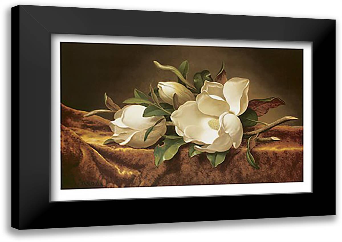 Magnolias on Gold Velvet Cloth 39x27 Black Modern Wood Framed Art Print Poster by Heade, Martin Johnson