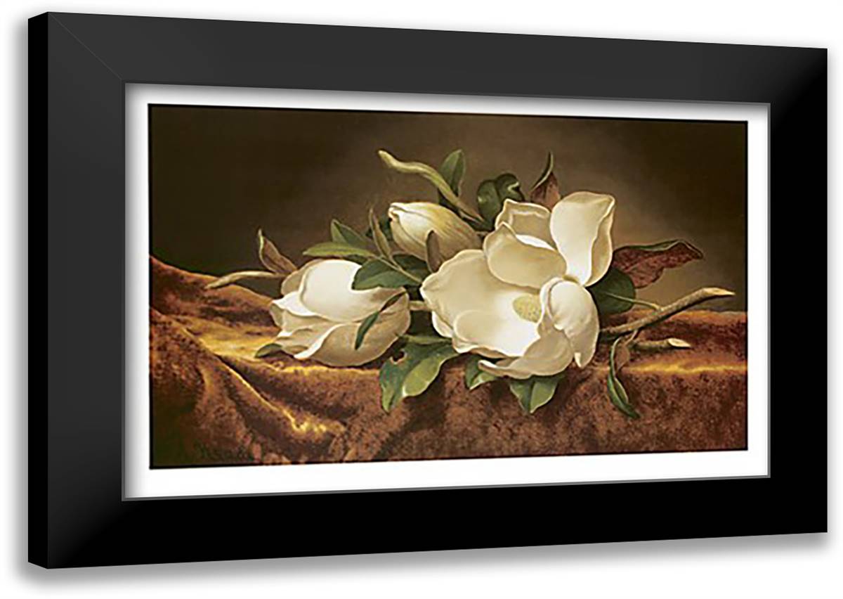 Magnolias on Gold Velvet Cloth 27x20 Black Modern Wood Framed Art Print Poster by Heade, Martin Johnson