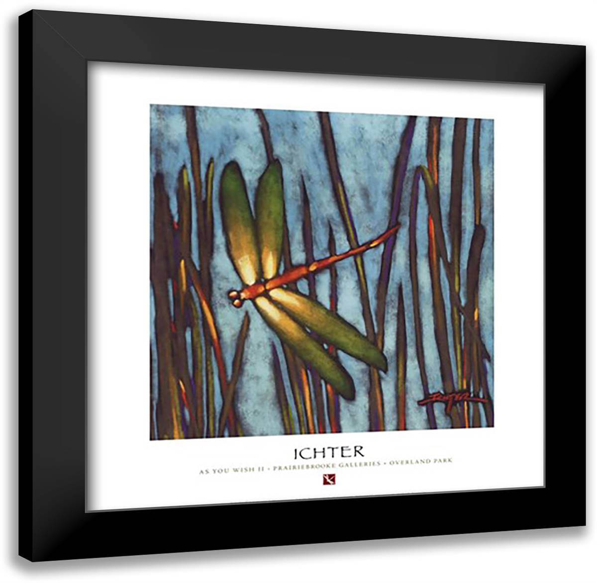 As You Wish II 20x20 Black Modern Wood Framed Art Print Poster by Ichter, Robert