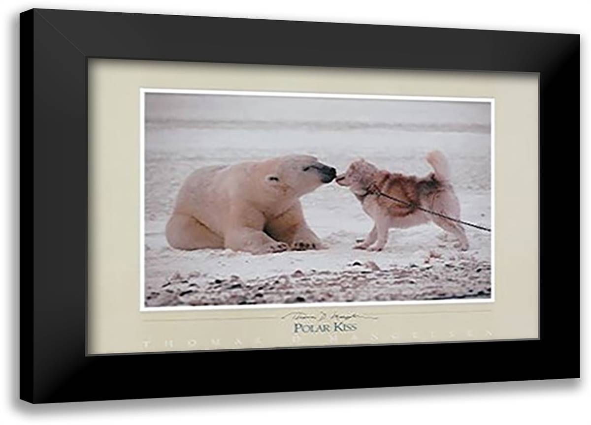Polar Kiss 40x28 Black Modern Wood Framed Art Print Poster by Mangelsen, Thomas