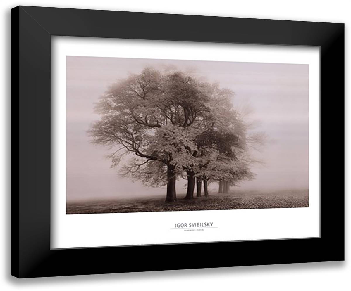 Harmony in Fog 24x20 Black Modern Wood Framed Art Print Poster by Svibilsky, Igor