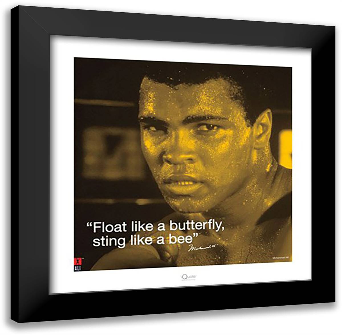 Muhammad Ali- Butterfly 20x20 Black Modern Wood Framed Art Print Poster