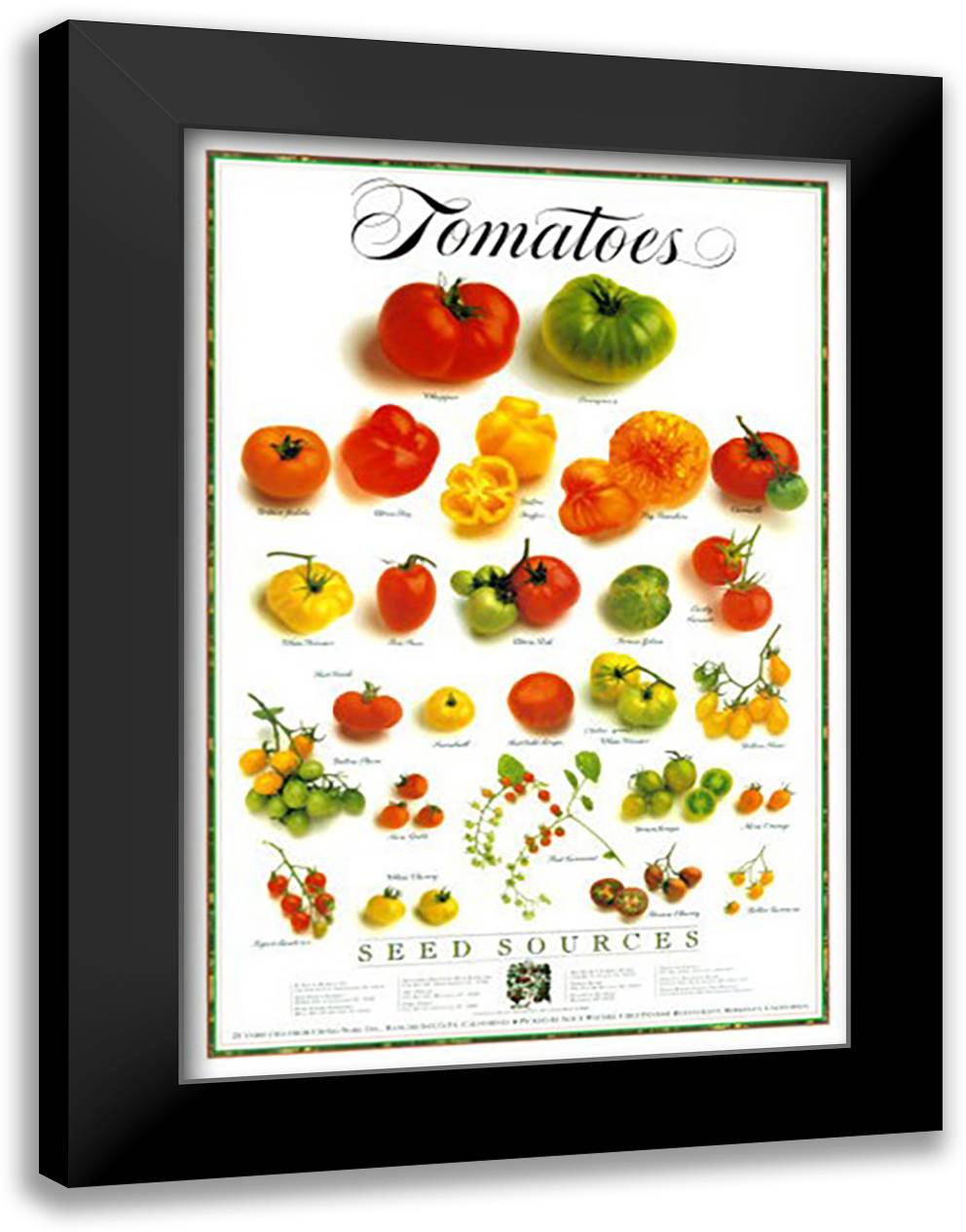 Tomatoes 28x40 Black Modern Wood Framed Art Print Poster by Waters, Alice