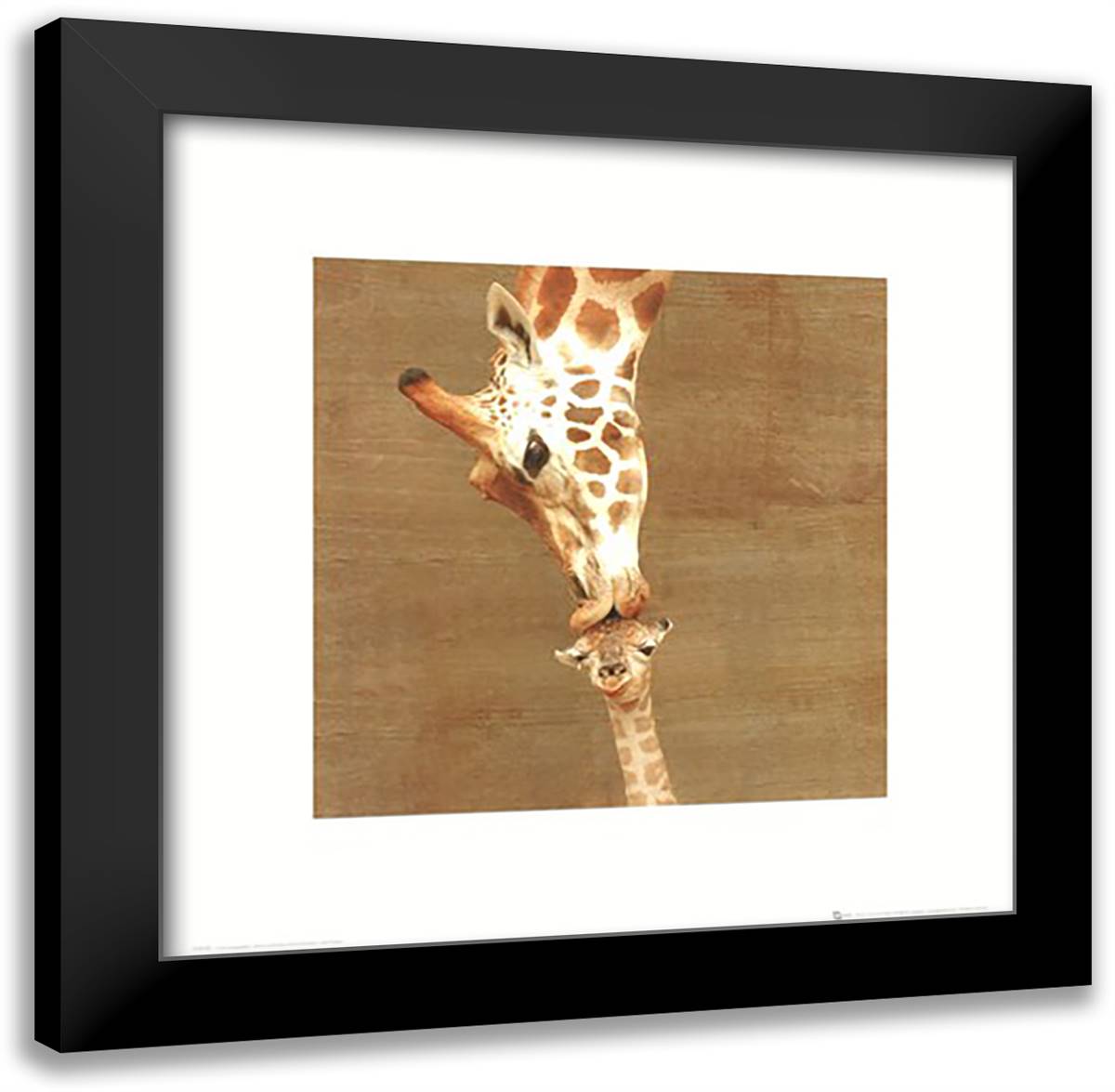First Kiss 20x20 Black Modern Wood Framed Art Print Poster