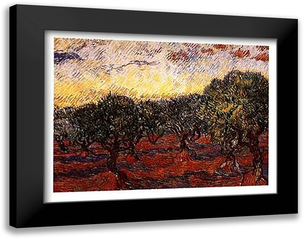 The Olive Grove, c.1889 35x28 Black Modern Wood Framed Art Print Poster by Van Gogh, Vincent