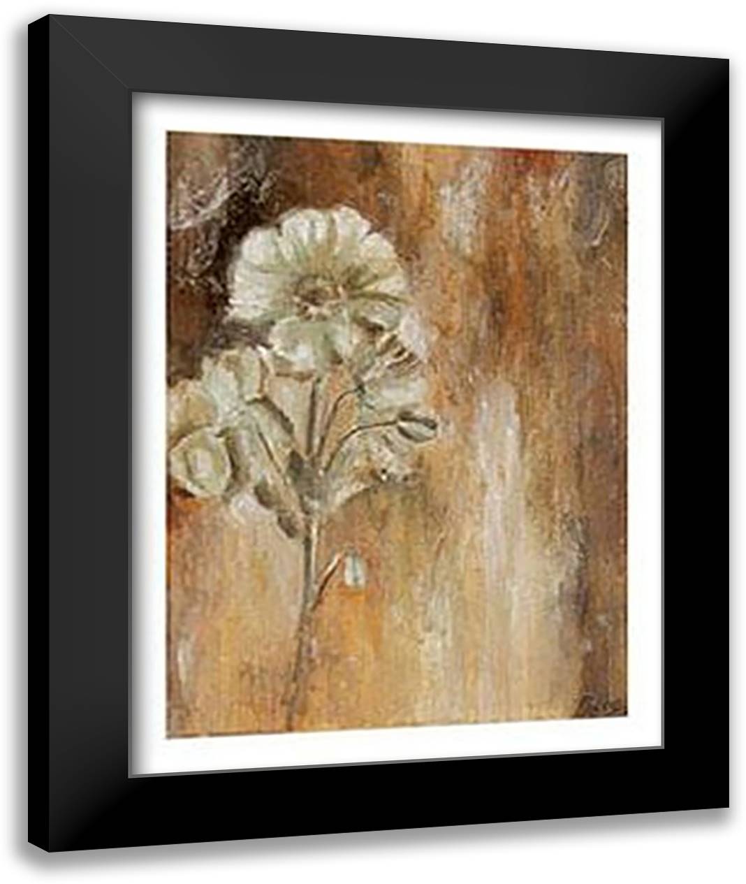 Papaveraceae I 24x28 Black Modern Wood Framed Art Print Poster by Bogerd, Escha Van Den