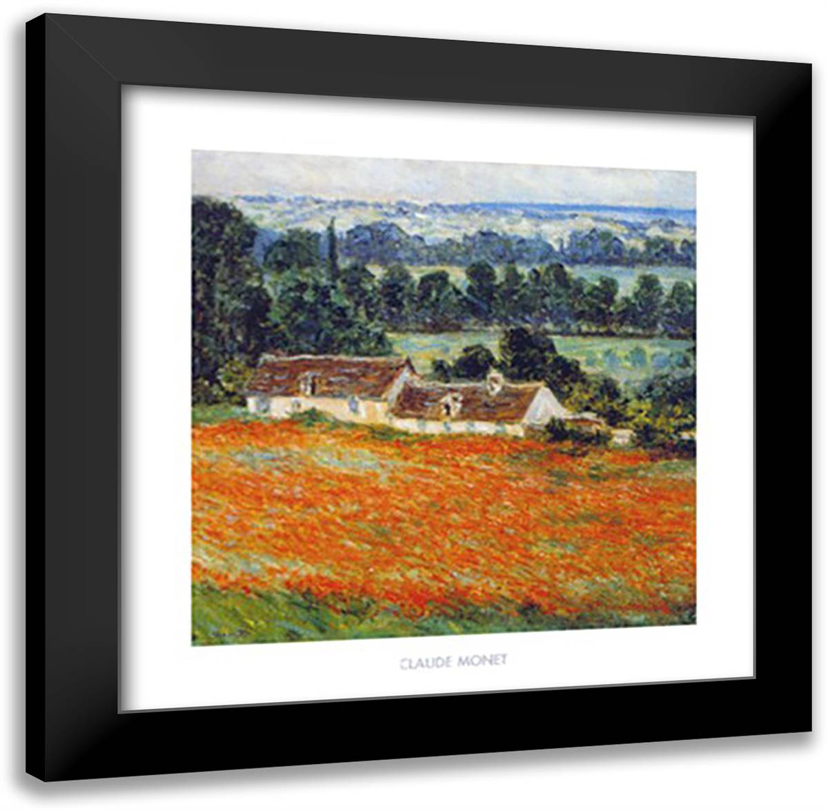 Field of Poppies at Giverny 24x24 Black Modern Wood Framed Art Print Poster by Monet, Claude