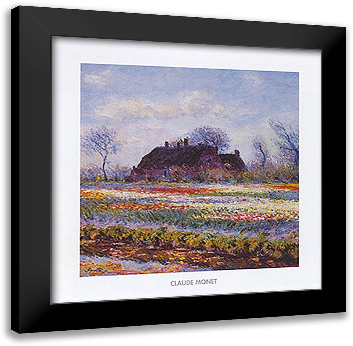 Tulip field at Sassenheim 24x24 Black Modern Wood Framed Art Print Poster by Monet, Claude