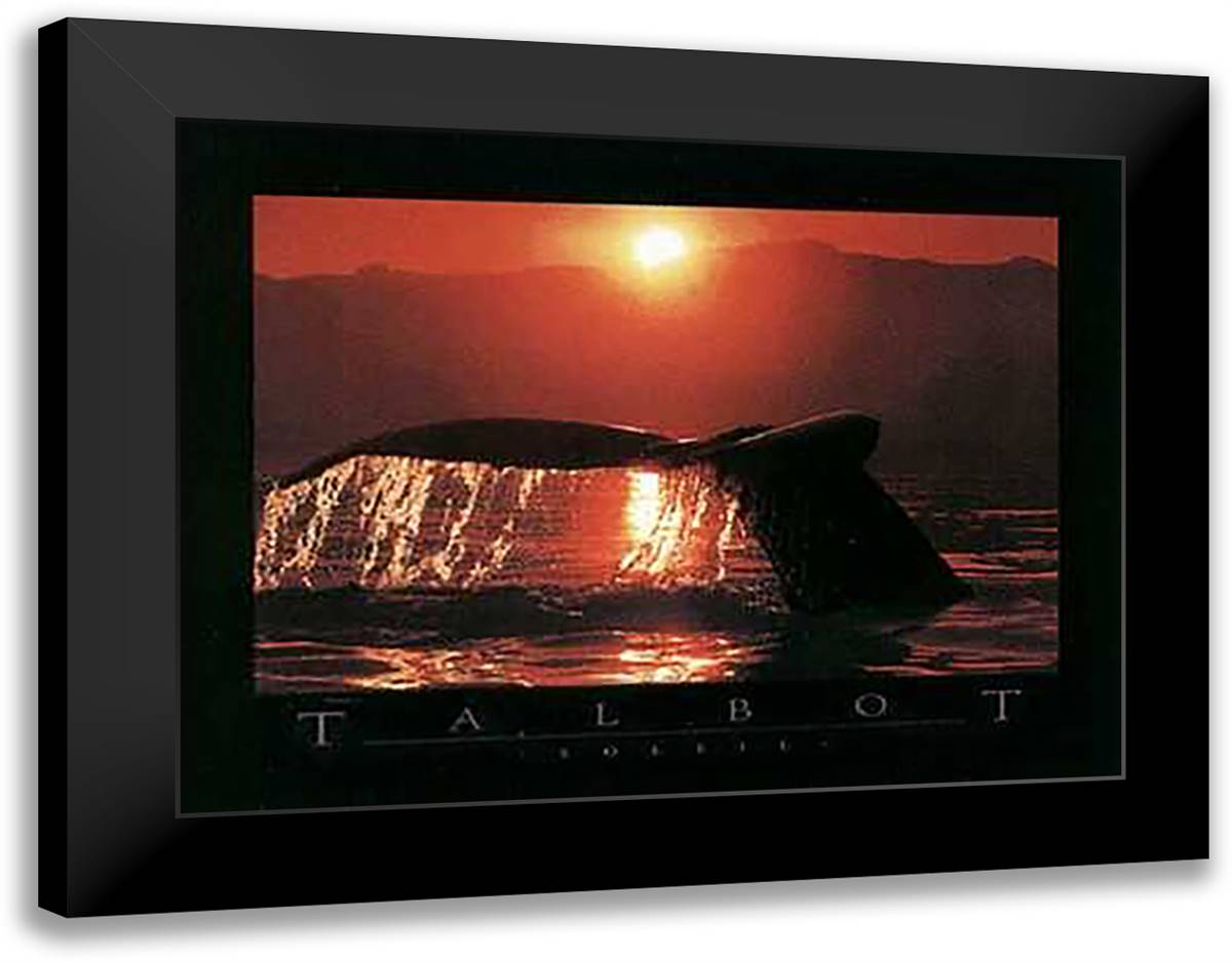 Soleil 28x22 Black Modern Wood Framed Art Print Poster by Talbot, Bob