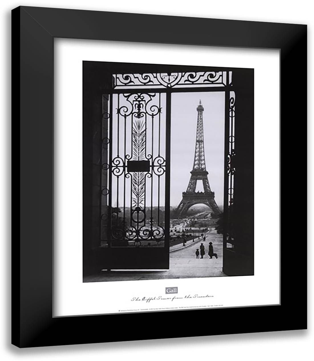 The Eiffel Tower from the Trocadero 20x24 Black Modern Wood Framed Art Print Poster by Gall, Sally