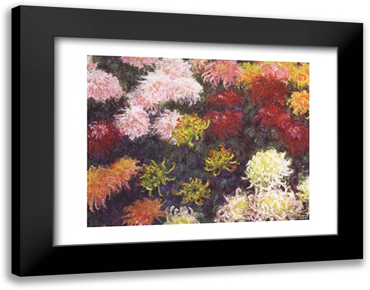 Massif de Chrysanthemes 36x28 Black Modern Wood Framed Art Print Poster by Monet, Claude