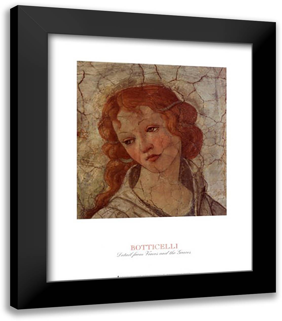 Detail: Venus and the Three Graces II 20x24 Black Modern Wood Framed Art Print Poster by Botticelli, Sandro
