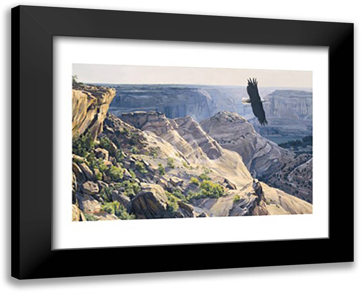Dino Paravano - Bald Eagle over Canyon de Chelley 18x15 Black Modern Wood Framed Art Print Poster by Paravano, Dino