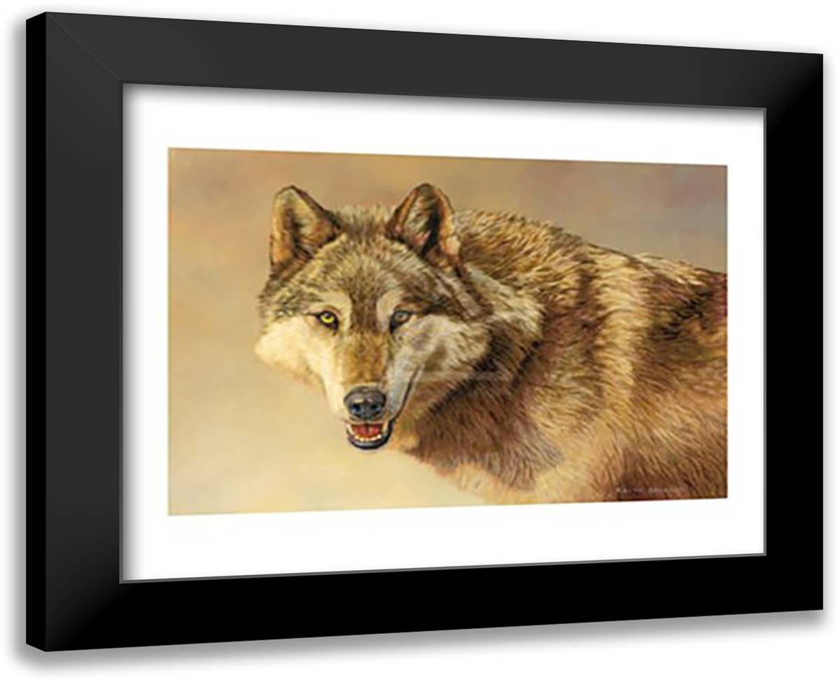 Wolf Portrait 18x15 Black Modern Wood Framed Art Print Poster by Baughan, Kalon