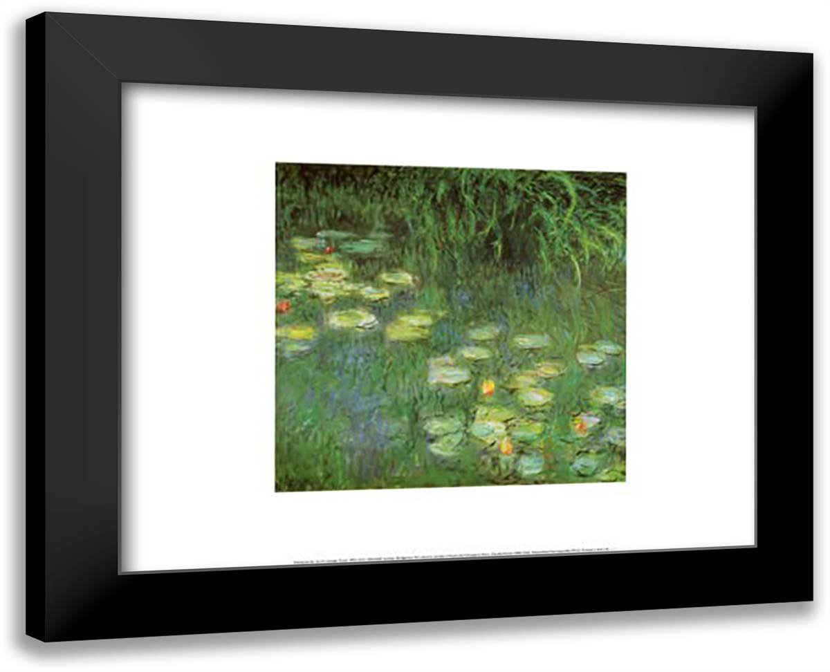 Water Lilies: Morning (detail) 18x15 Black Modern Wood Framed Art Print Poster by Monet, Claude