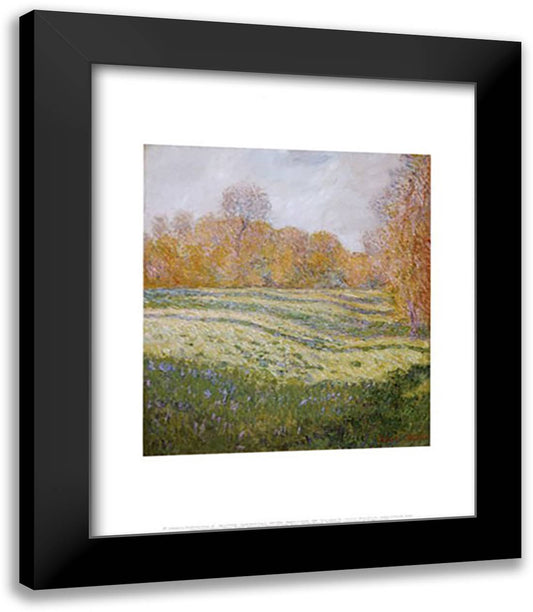 Meadow at Giverny 15x18 Black Modern Wood Framed Art Print Poster by Monet, Claude