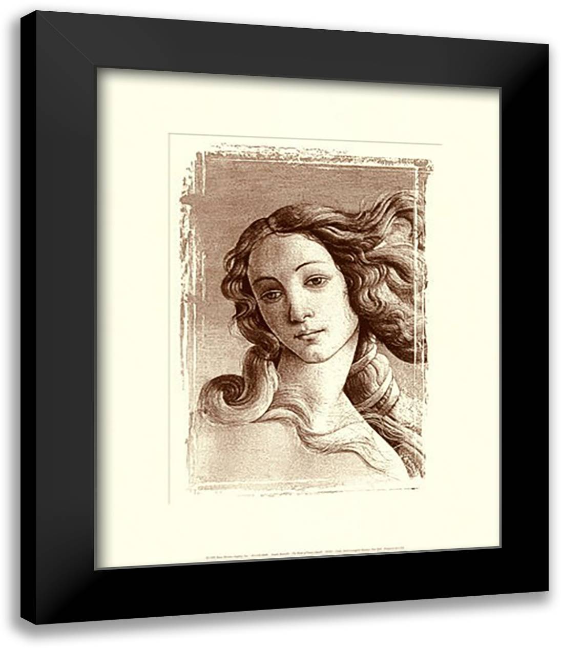 The Birth of Venus (detail) (embossed) 15x18 Black Modern Wood Framed Art Print Poster by Botticelli, Sandro