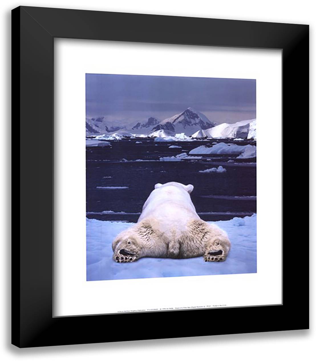 Dream of a Polar Bear 15x18 Black Modern Wood Framed Art Print Poster by Wolfe, Art