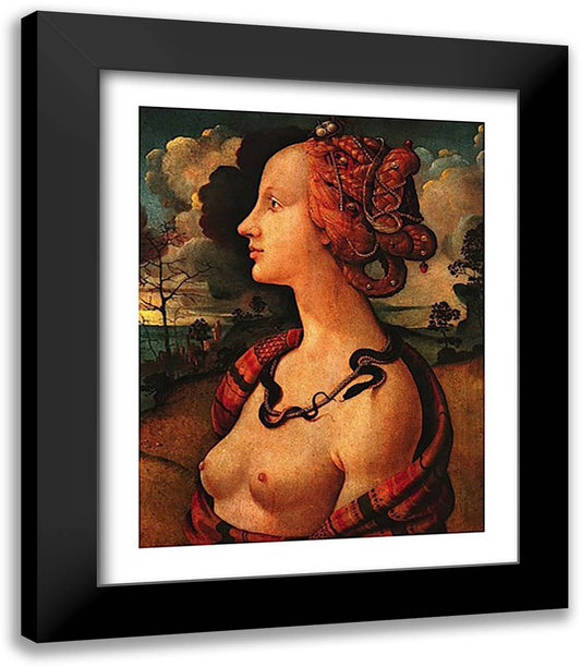 Portrait of Simonetta Vespucci, c. 1480 15x18 Black Modern Wood Framed Art Print Poster by Vespucci, Piero Di Cosimo