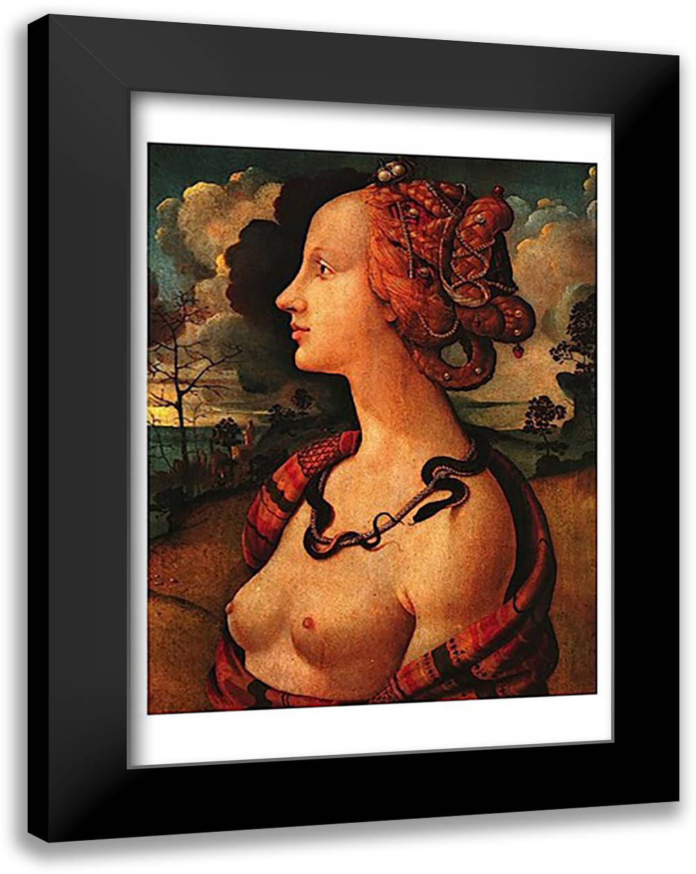 Portrait of Simonetta Vespucci, c. 1480 17x23 Black Modern Wood Framed Art Print Poster by Vespucci, Piero Di Cosimo