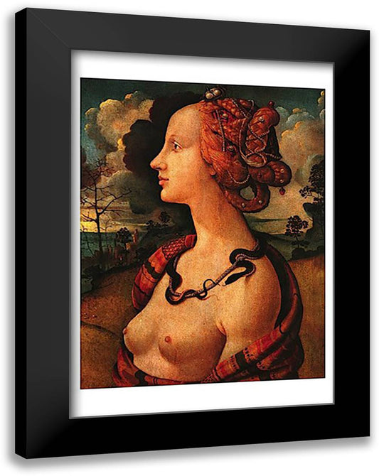Portrait of Simonetta Vespucci, c. 1480 17x23 Black Modern Wood Framed Art Print Poster by Vespucci, Piero Di Cosimo