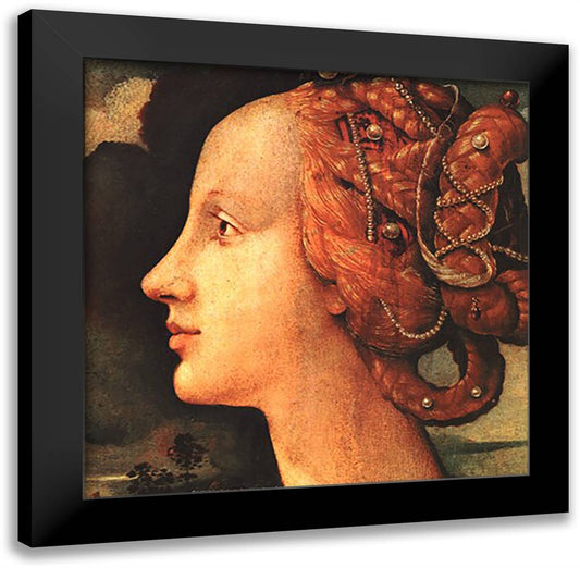 Portrait of Simonetta Vespucci (detail) 16x16 Black Modern Wood Framed Art Print Poster by Vespucci, Piero Di Cosimo