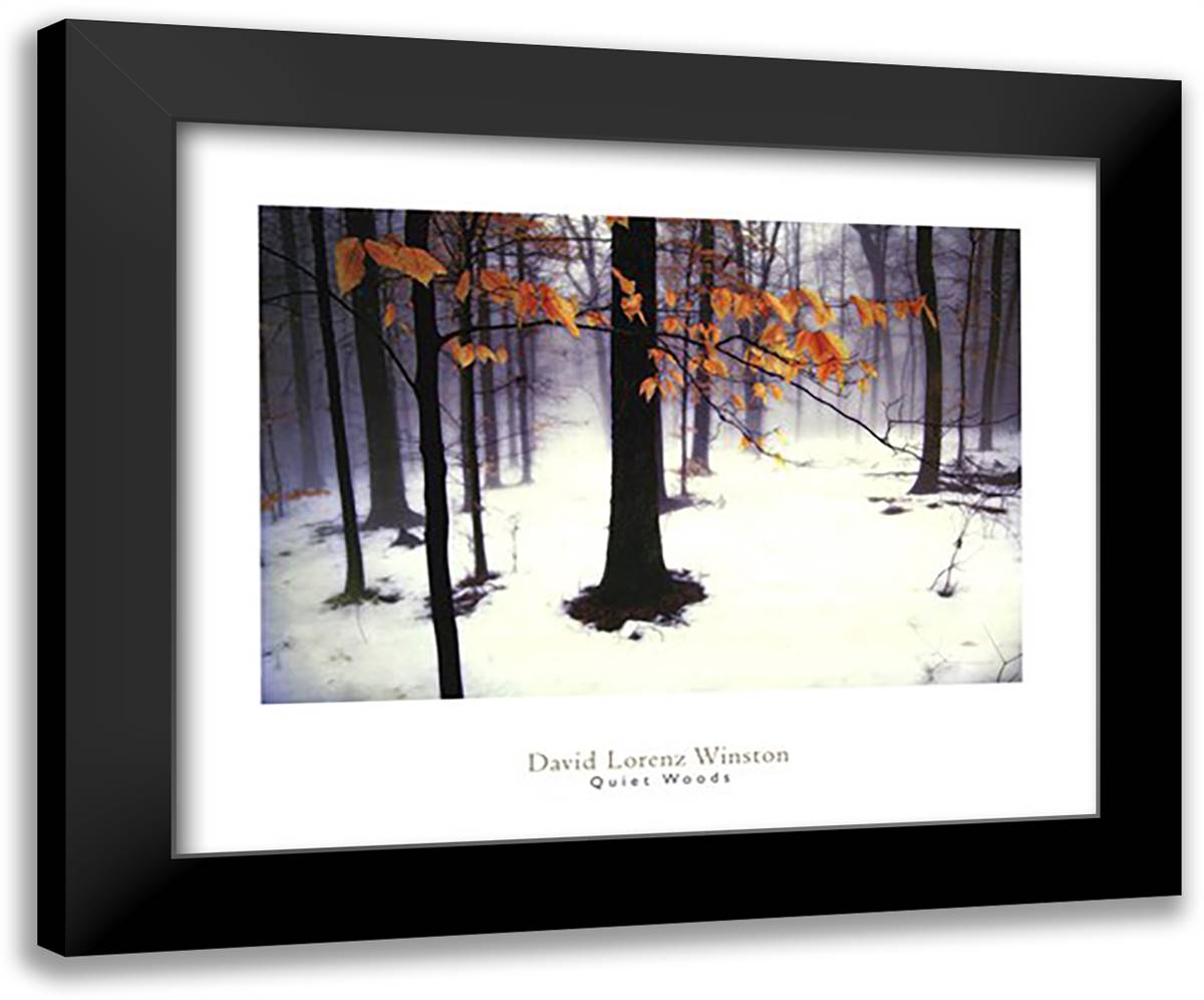 Quiet Woods 34x28 Black Modern Wood Framed Art Print Poster by Winston, David Lorenz
