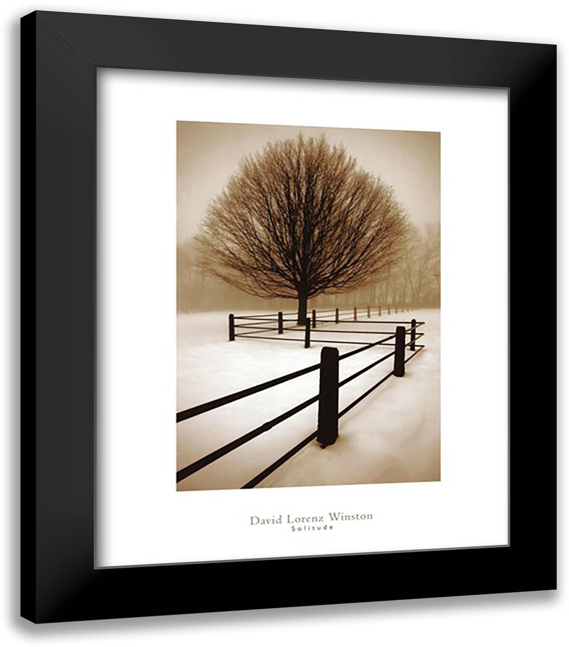 Solitude 20x24 Black Modern Wood Framed Art Print Poster by Winston, David Lorenz