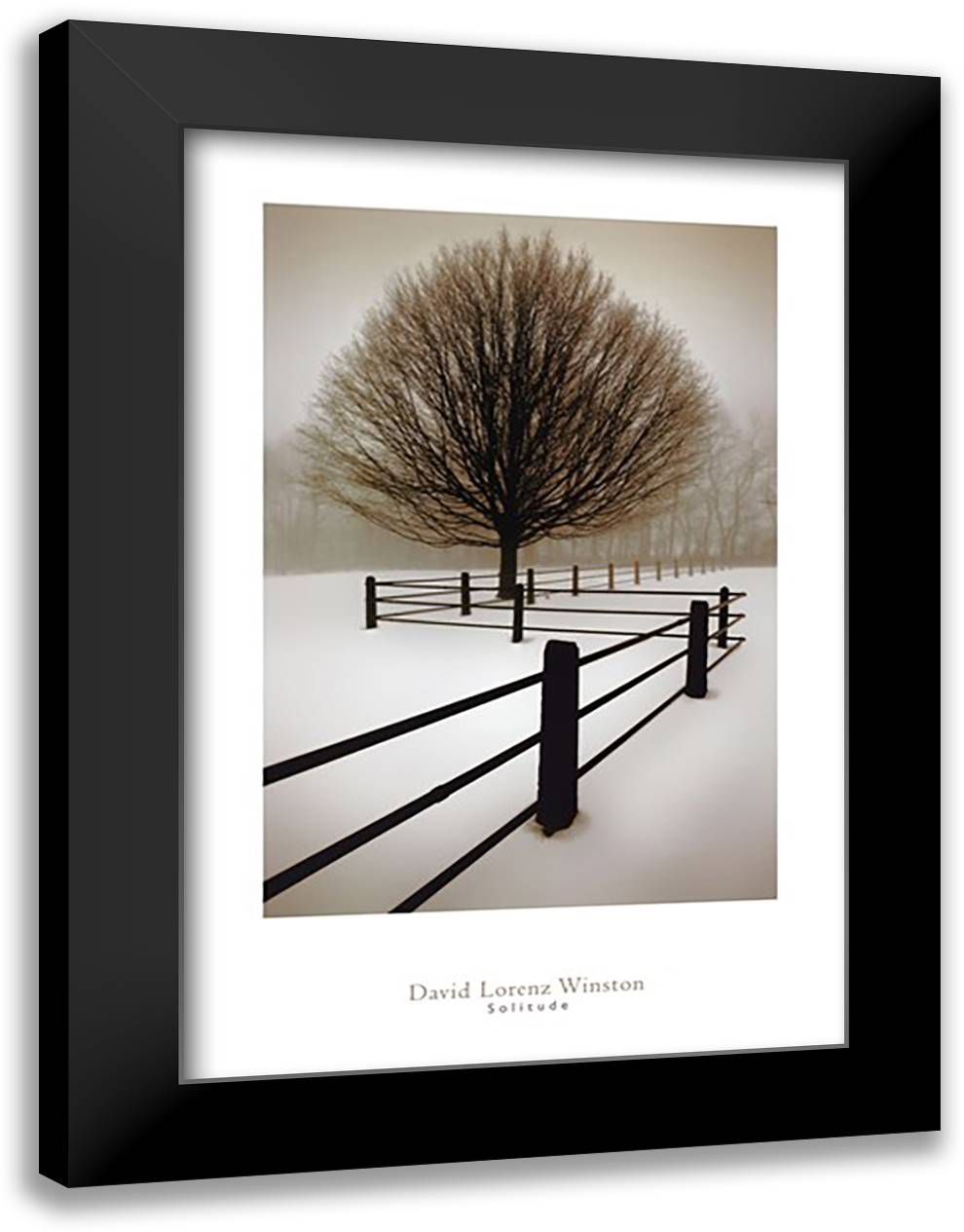 Solitude 28x40 Black Modern Wood Framed Art Print Poster by Winston, David Lorenz