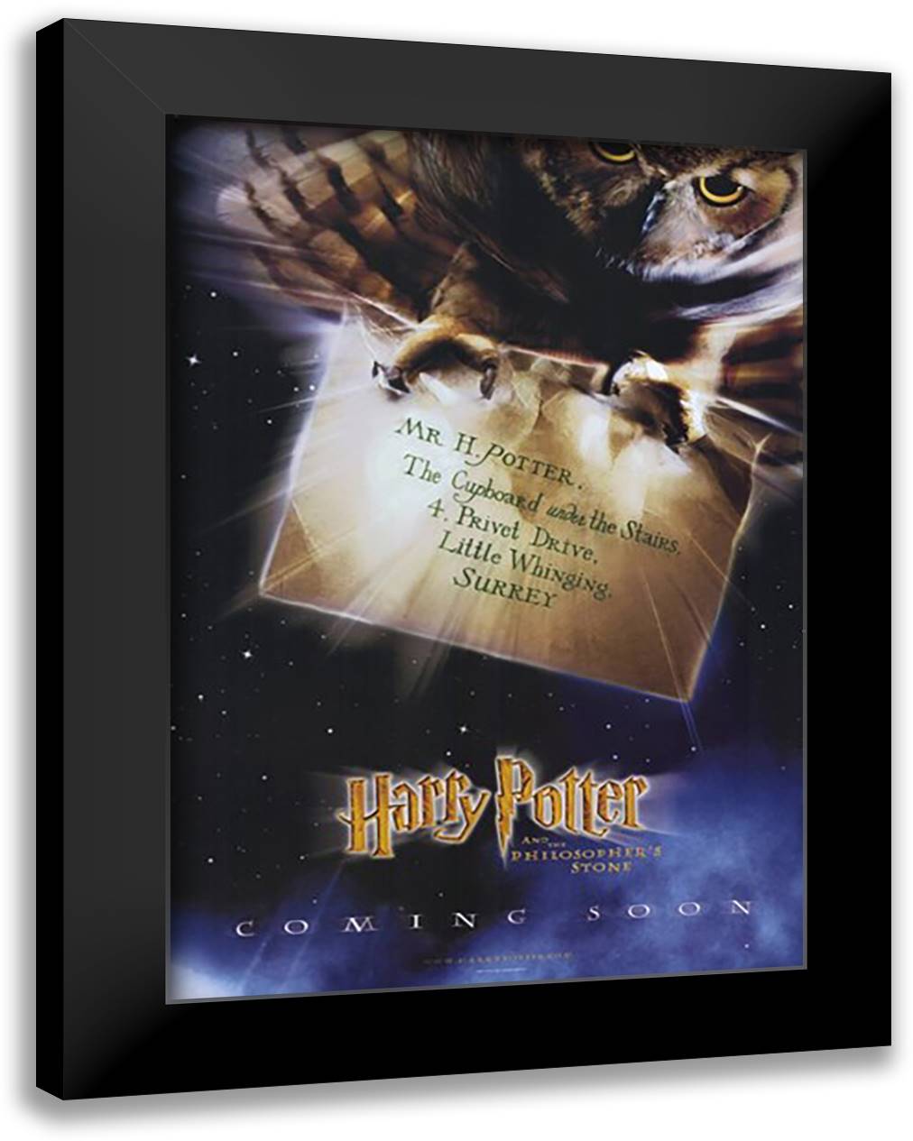 Harry Potter and the Sorcerer's Stone 15x21 Black Modern Wood Framed Art Print Poster