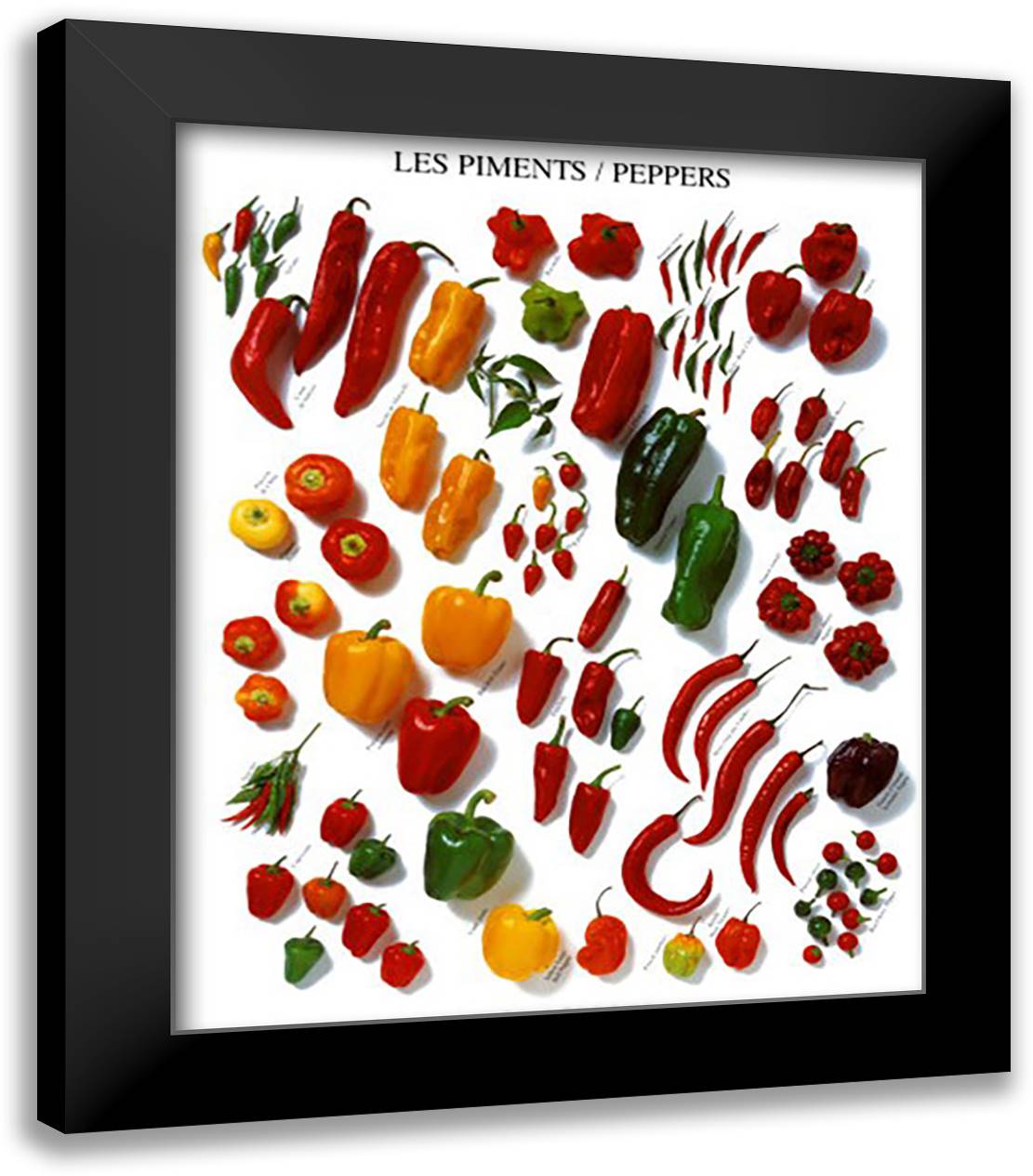 Piments 20x24 Black Modern Wood Framed Art Print Poster