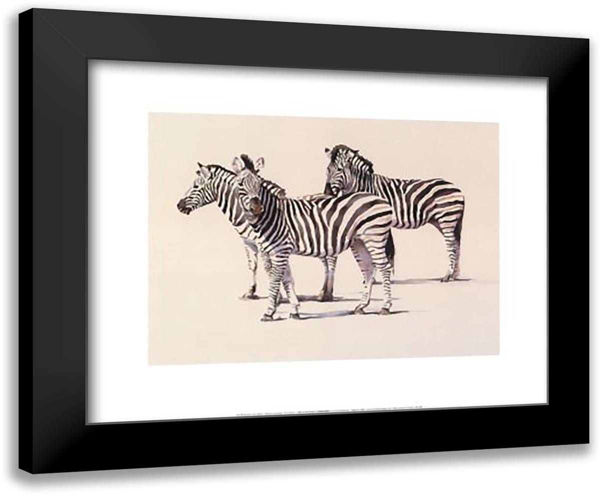 Zebras 24x20 Black Modern Wood Framed Art Print Poster by Sue, Dickinson