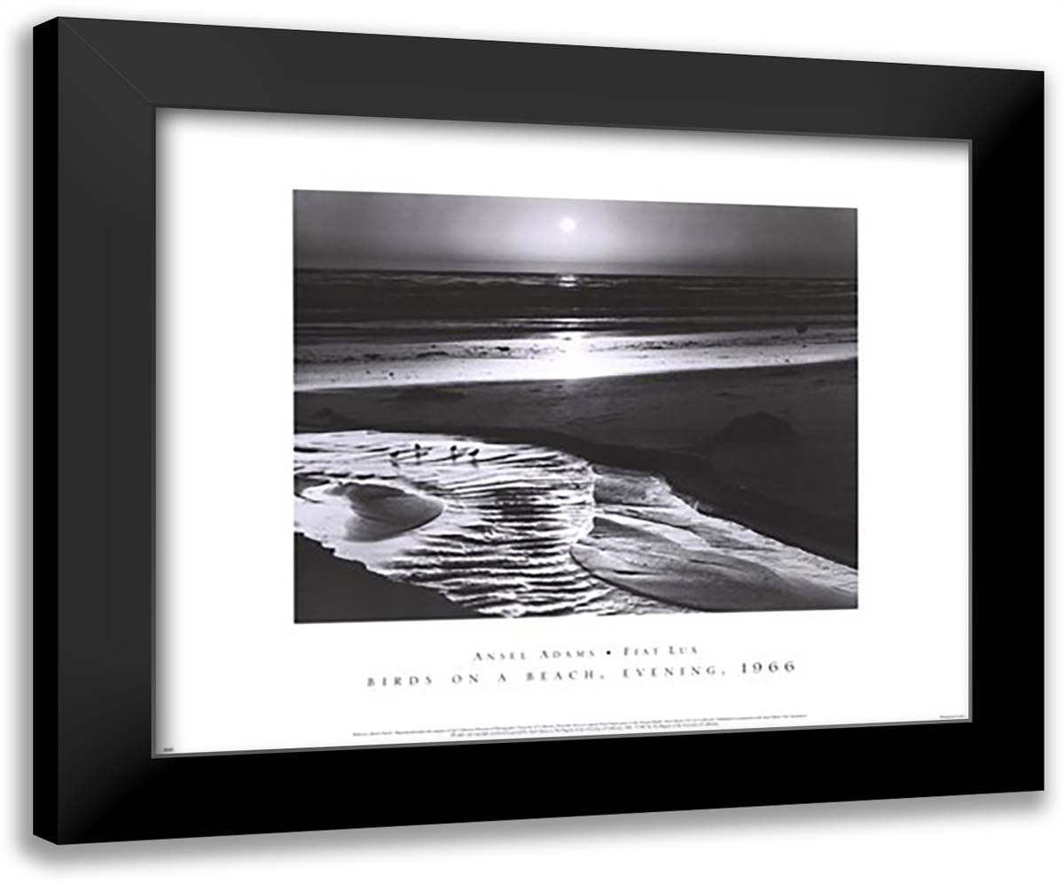 Birds on a Beach 24x20 Black Modern Wood Framed Art Print Poster by Adams, Ansel