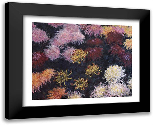 Chrysanthemum, 1897 30x25 Black Modern Wood Framed Art Print Poster by Monet, Claude