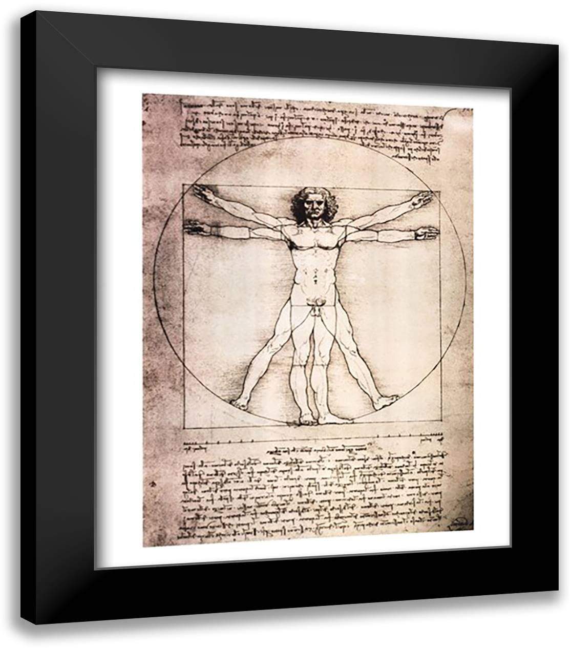 Leonardo Da Vinci - Vitruvian Man, 1492 Size 27.25x19 28x34 Black Modern Wood Framed Art Print Poster by da Vinci, Leonardo