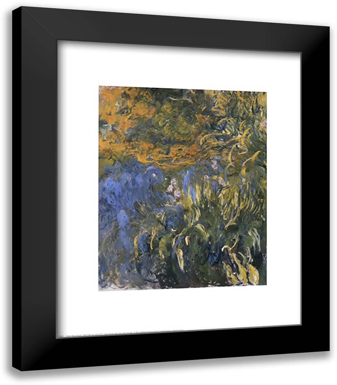 Iris, 1914-1917 20x24 Black Modern Wood Framed Art Print Poster by Monet, Claude