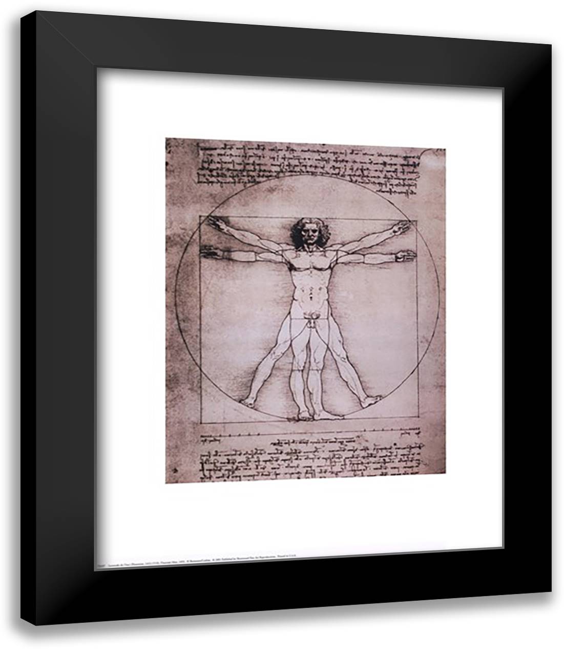 Vitruvian Man, 1492 20x24 Black Modern Wood Framed Art Print Poster by da Vinci, Leonardo