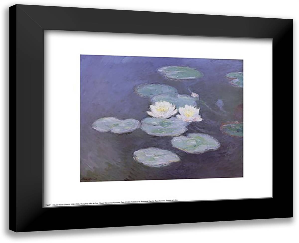 Nympheas Effet du Soir 18x15 Black Modern Wood Framed Art Print Poster by Monet, Claude