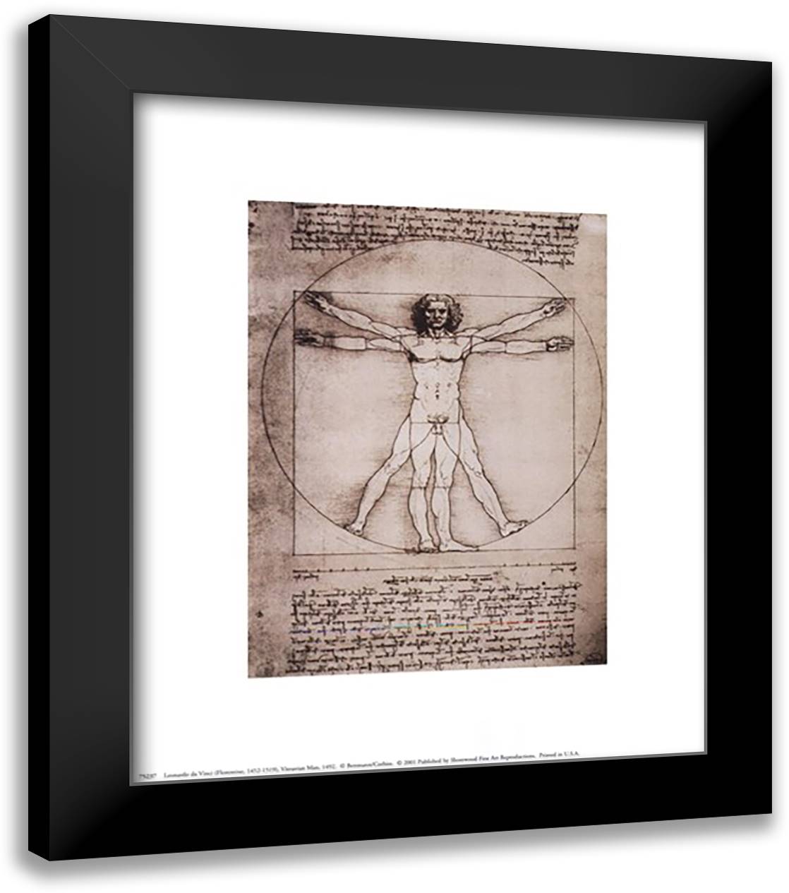 Leonardo Da Vinci - Vitruvian Man, 1492 Size 5x7 12x14 Black Modern Wood Framed Art Print Poster by da Vinci, Leonardo