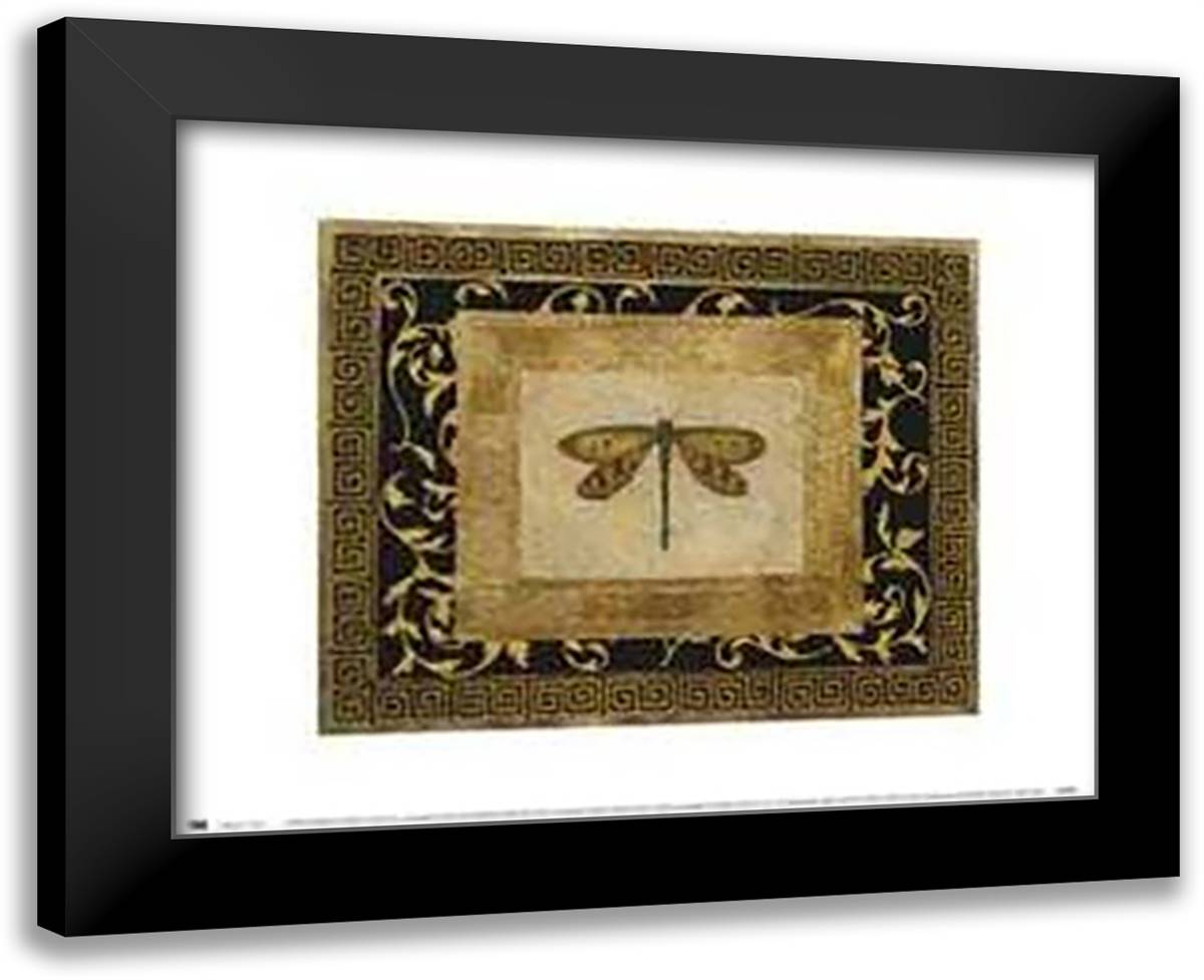 Dragon Fly I 18x15 Black Modern Wood Framed Art Print Poster by Hayes, Allen