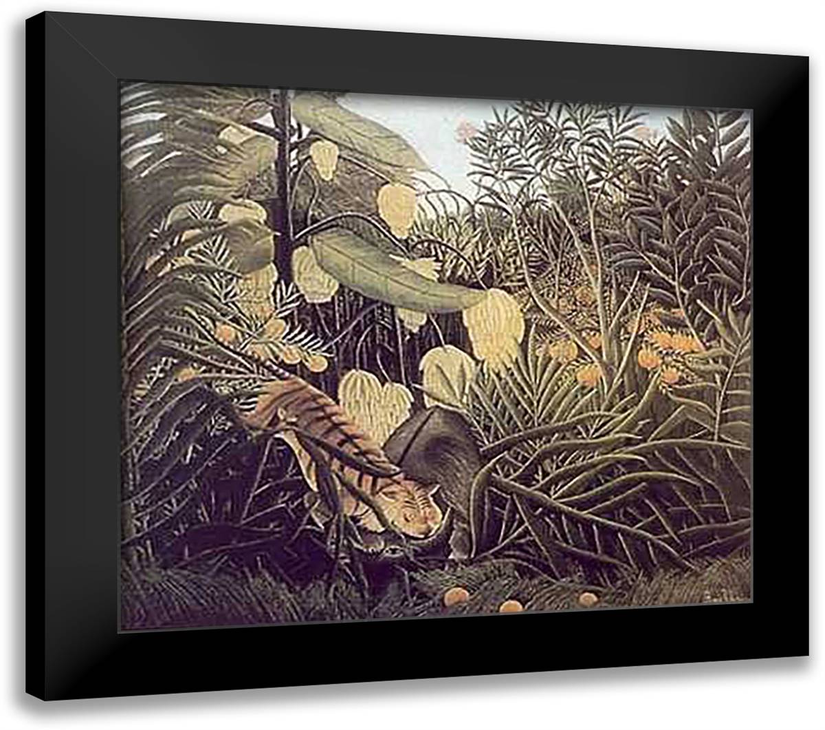 Jungle Tiger Attacking a Buffalo 28x25 Black Modern Wood Framed Art Print Poster by Rousseau, Henri