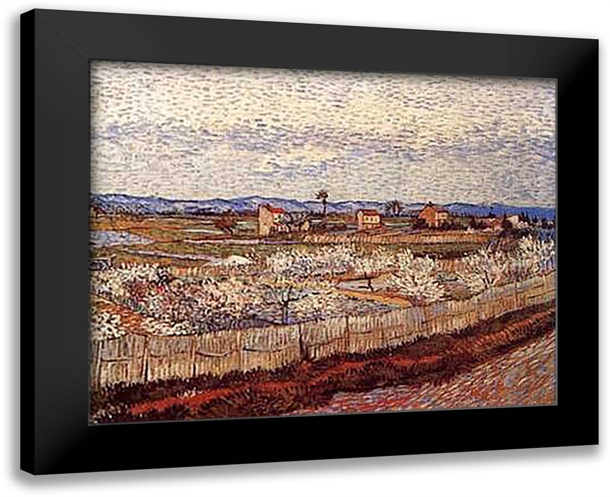 La Crau with Peach Trees in Blossom 28x23 Black Modern Wood Framed Art Print Poster by Van Gogh, Vincent