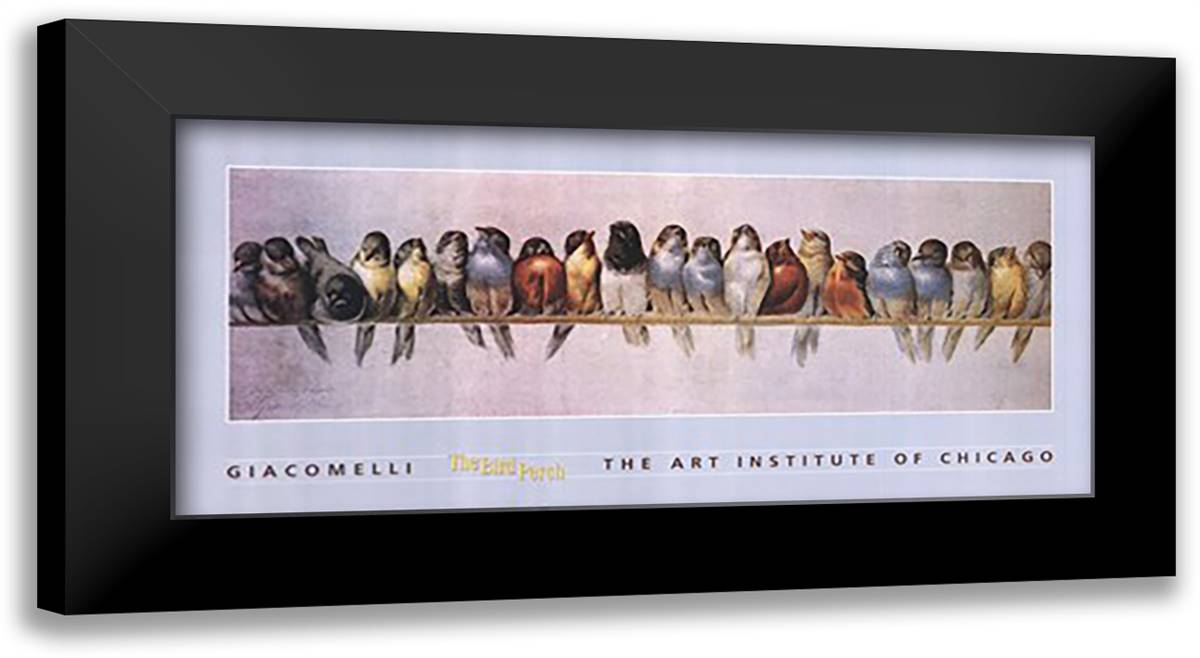 Hector Giacomelli - The Bird Perch Size 40x20 Black Modern Wood Framed Art Print Poster by Giacomelli, Hector