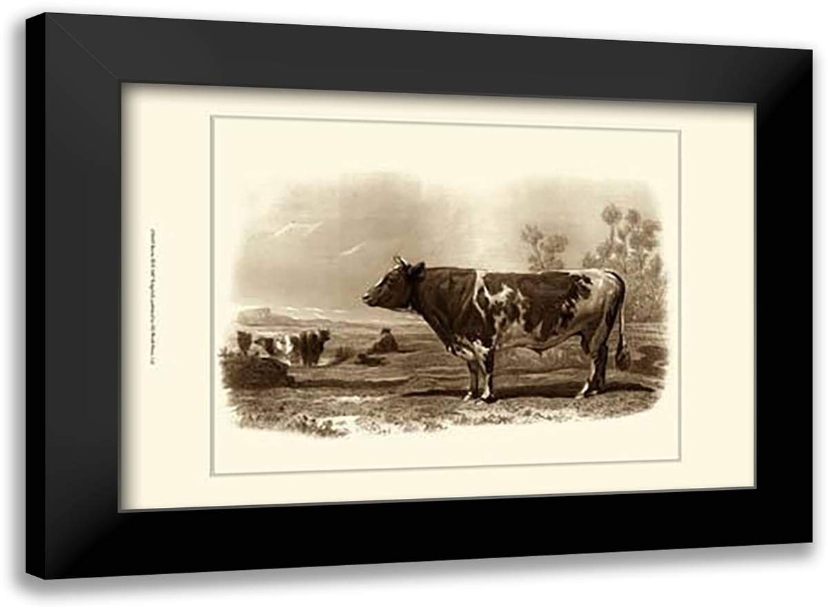 Bovine III 23x17 Black Modern Wood Framed Art Print Poster by Marck, Emile Van