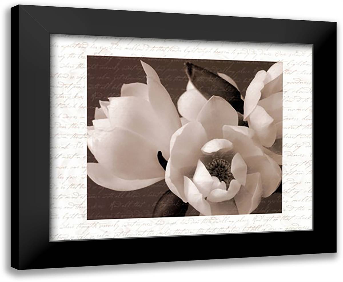 Winter Magnolia I 14x12 Black Modern Wood Framed Art Print Poster by Stuart, Tony
