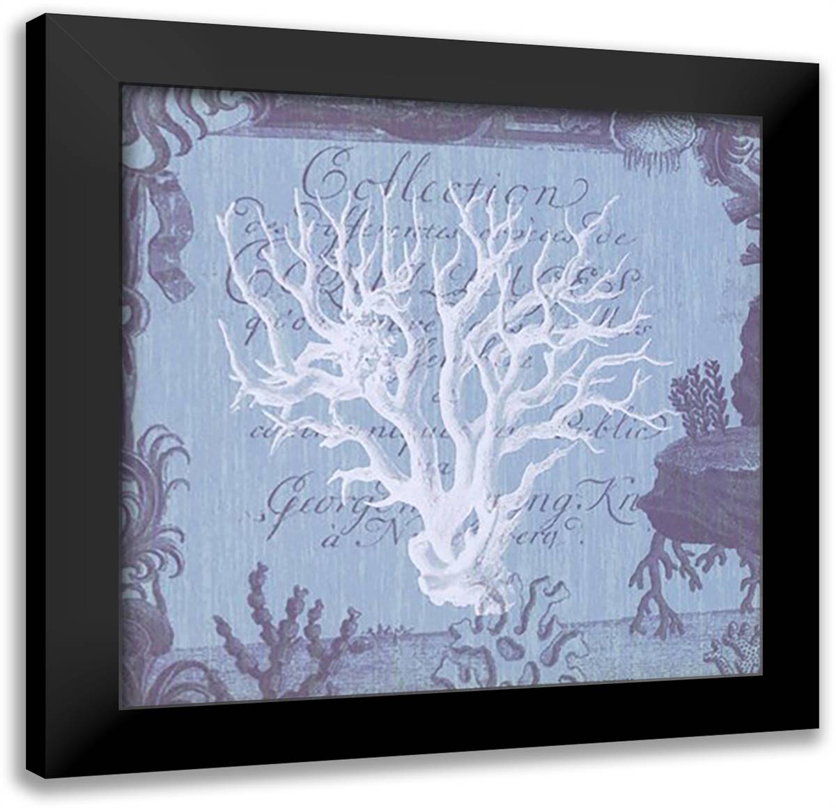 Seaside Coral III 14x14 Black Modern Wood Framed Art Print Poster by Scaletta, Paula