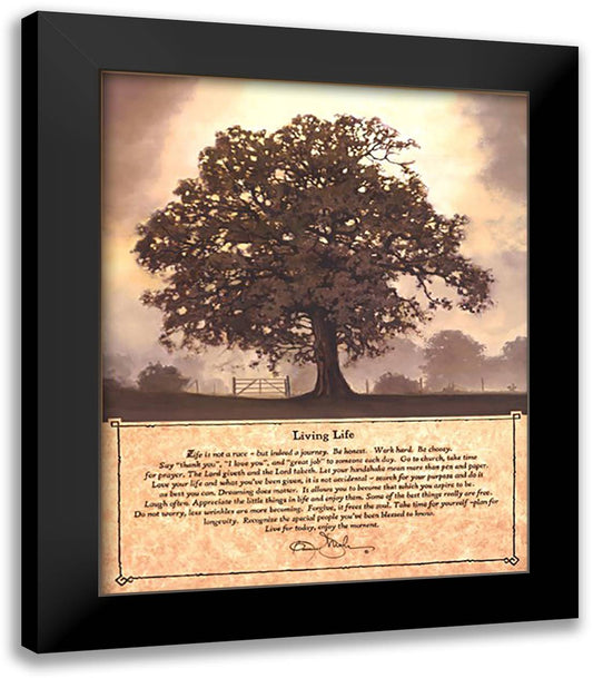 Living Life 20x24 Black Modern Wood Framed Art Print Poster by Mohr, Bonnie