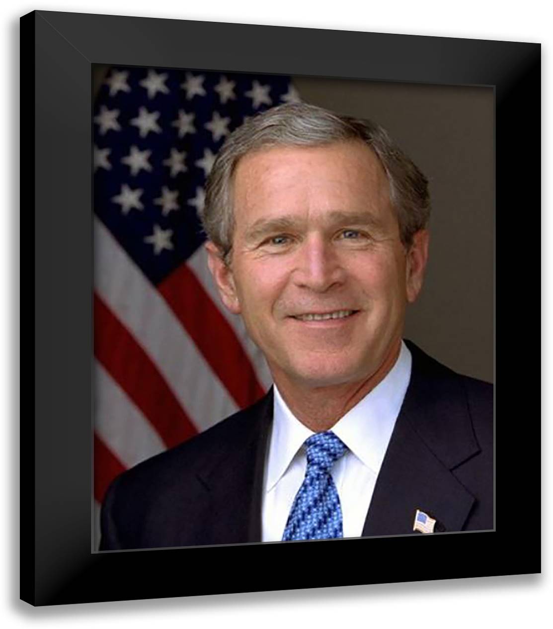 Official photograph portrait of U.S. President George W. Bush (#11) 20x24 Black Modern Wood Framed Art Print Poster